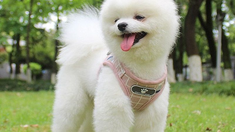 揭秘保鲜冷库制冷设备品牌排名背后的逻辑